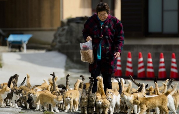 Foto - Bu adada insanlar azınlık konumunda