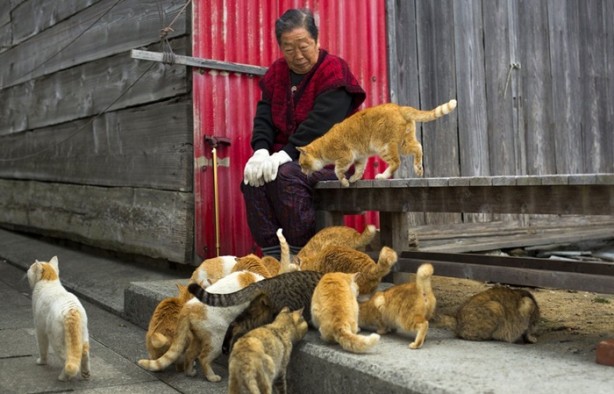 Foto - Bu adada insanlar azınlık konumunda