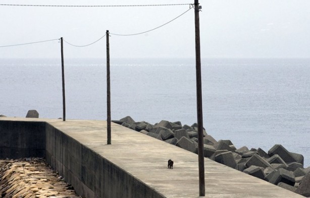 Foto - Bu adada insanlar azınlık konumunda