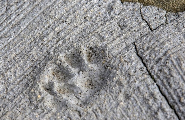 Bu adada insanlar azınlık konumunda