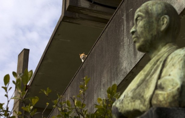 Foto - Bu adada insanlar azınlık konumunda