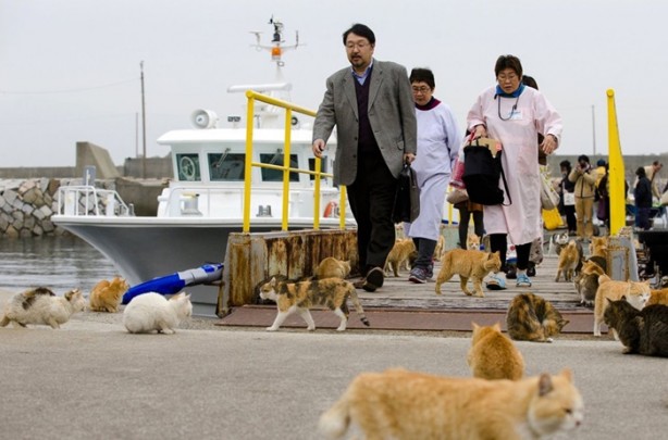 Foto - Bu adada insanlar azınlık konumunda