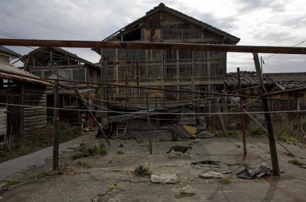 Foto - Bu adada insanlar azınlık konumunda