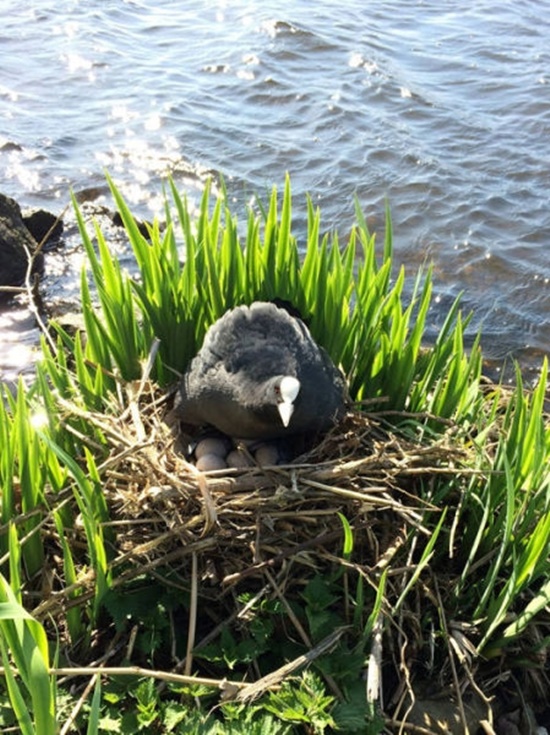 Foto - Bu adam harika bir iş yaptı...