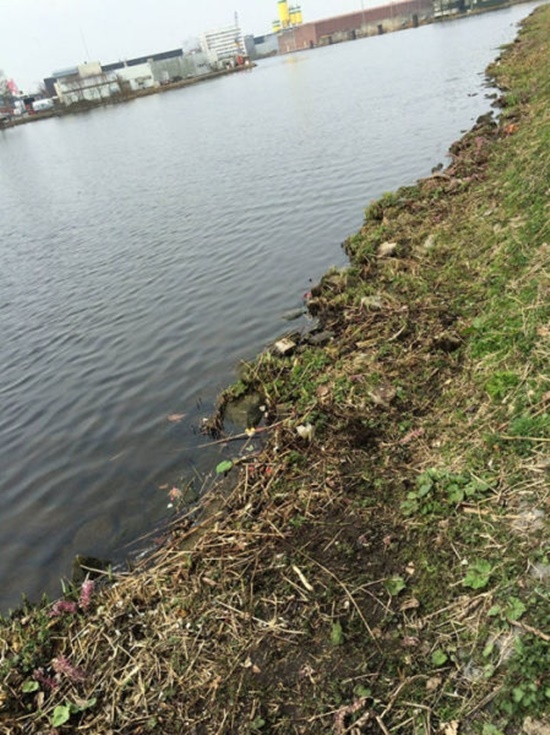 Foto - Bu adam harika bir iş yaptı...