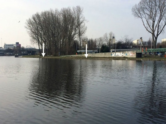 Foto - Bu adam harika bir iş yaptı...