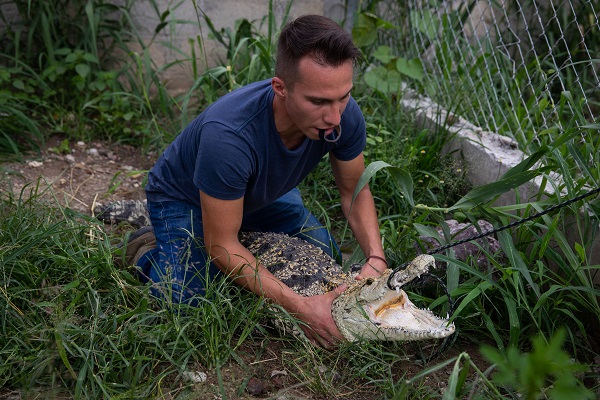 Foto - Bu adam timsahları evinde besliyor!