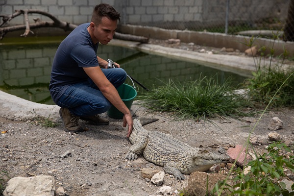 Foto - Bu adam timsahları evinde besliyor!