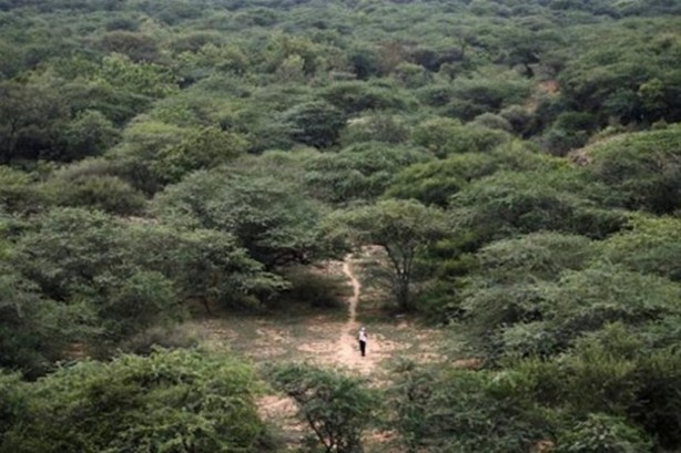Foto - Bu adama hayran olacaksınız