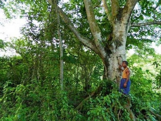 Foto - Bu adama hayran olacaksınız