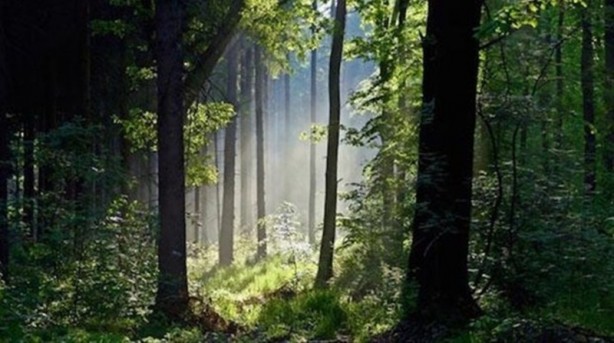 Foto - Bu adama hayran olacaksınız