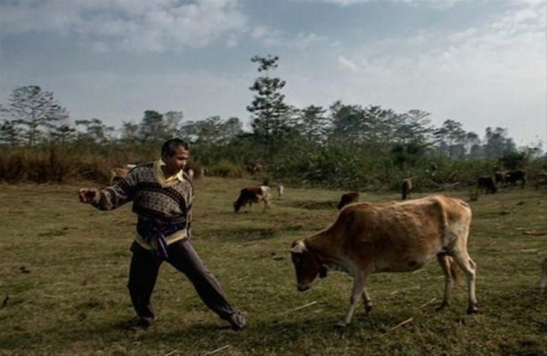 Foto - Bu adama hayran olacaksınız