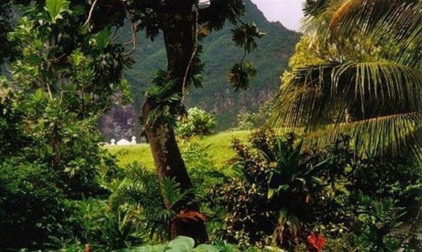 Foto - Bu adama hayran olacaksınız