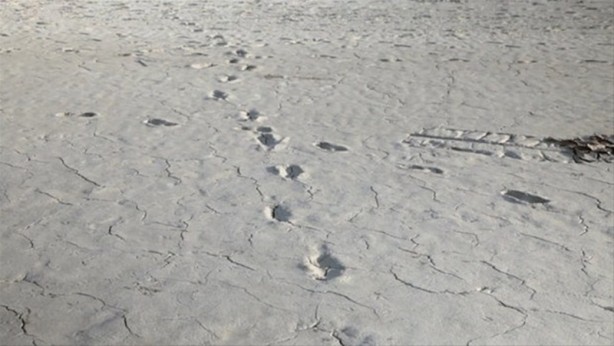 Foto - Bu adama hayran olacaksınız