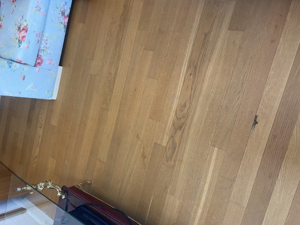 Foto - "Bu adamdan nasıl kurtulacağım?"