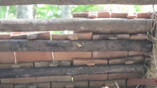 Foto - Bu adamın yaptıklarına inanamayacaksınız!