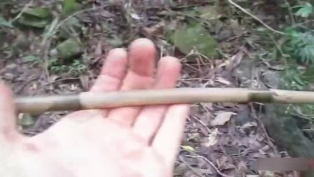 Foto - Bu adamın yaptıklarına inanamayacaksınız!