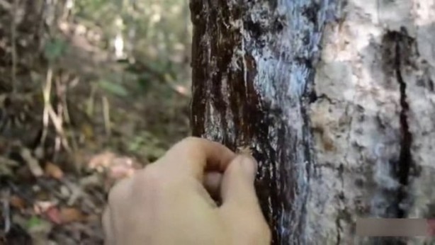 Foto - Bu adamın yaptıklarına inanamayacaksınız!