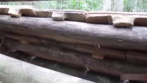 Foto - Bu adamın yaptıklarına inanamayacaksınız!