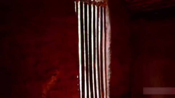 Foto - Bu adamın yaptıklarına inanamayacaksınız!