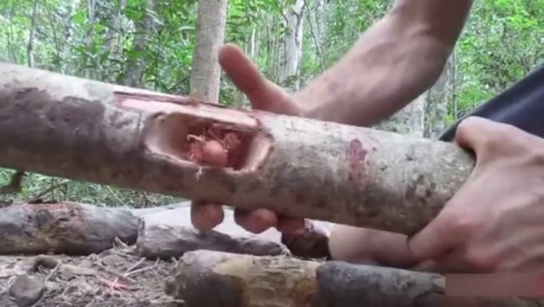 Foto - Bu adamın yaptıklarına inanamayacaksınız!