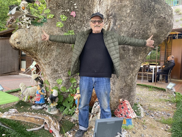 Foto - Bu ağaç bin yıldır ayakta