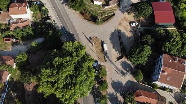 Foto - Bu ağaç iki imparatorluk gördü