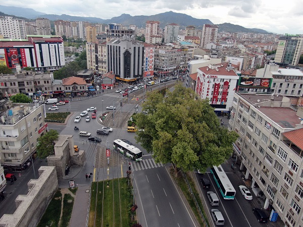 Foto - Bu ağacın yaşını duyduğunuzda çok şaşıracaksınız! 