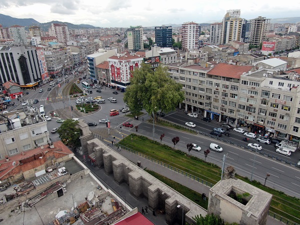 Foto - Bu ağacın yaşını duyduğunuzda çok şaşıracaksınız! 