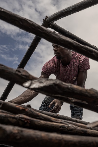 Foto - Bu ağaçlar iklim değişikliğine karşı mücadele ediyor