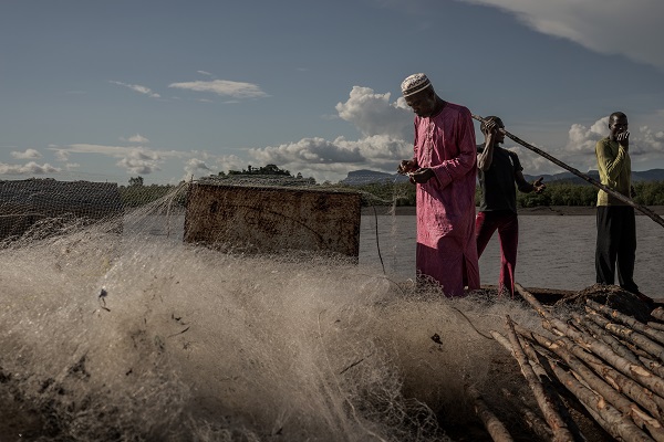 Foto - Bu ağaçlar iklim değişikliğine karşı mücadele ediyor