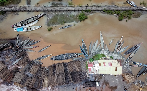Foto - Bu ağaçlar iklim değişikliğine karşı mücadele ediyor