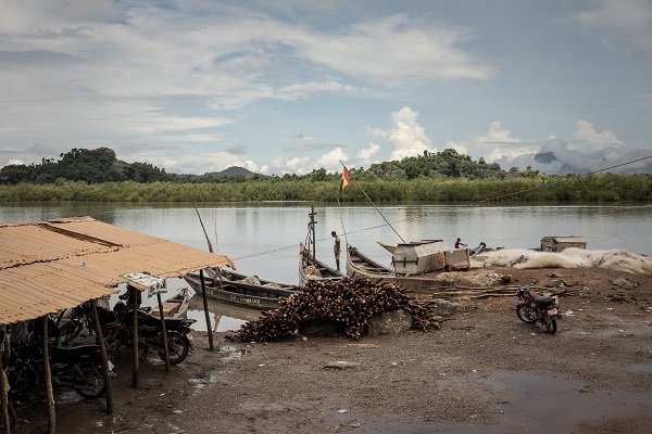 Foto - Bu ağaçlar iklim değişikliğine karşı mücadele ediyor