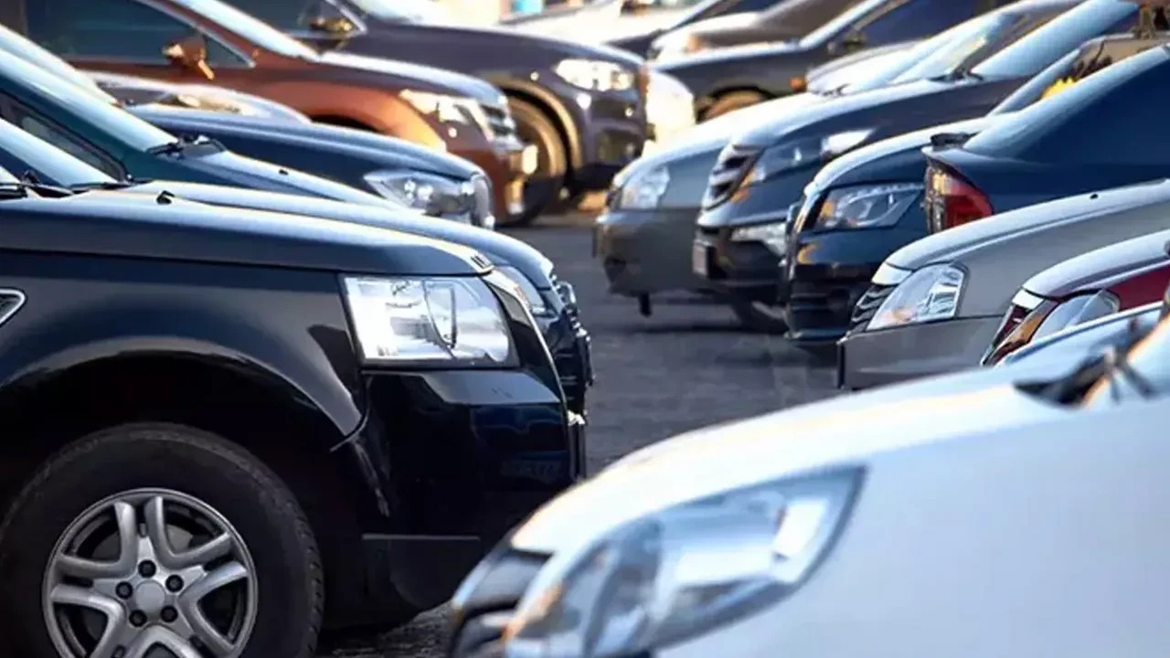 Foto - Bu ağaçların altına sakın park etmeyin! Otomobilinizin boyası mahvolabilir