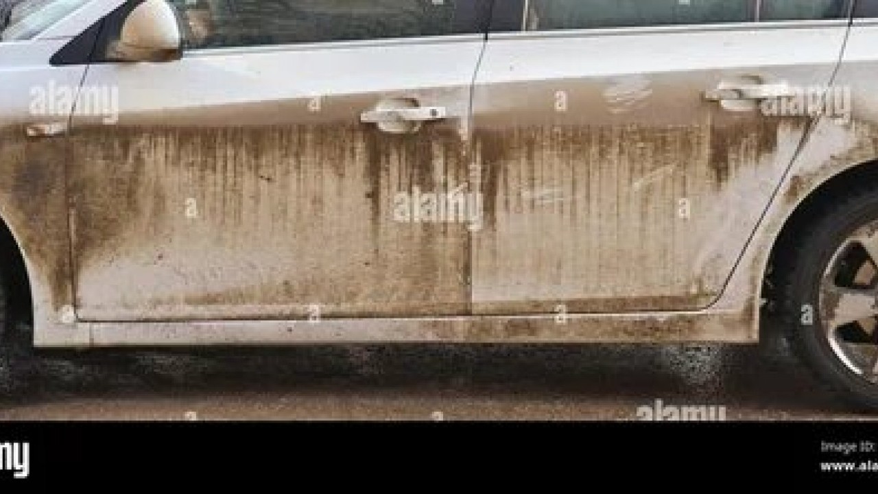 Foto - Bu ağaçların altına sakın park etmeyin! Otomobilinizin boyası mahvolabilir