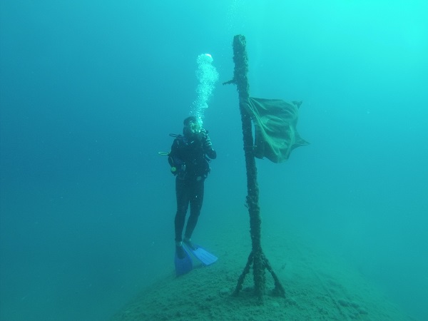 Foto - Bu Airbus A300 havada değil denizin dibinde