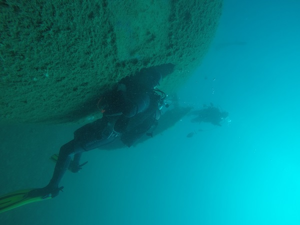 Foto - Bu Airbus A300 havada değil denizin dibinde
