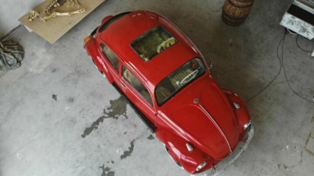 Foto - Türkiye’de tek: Vosvos Akvaryum!