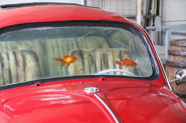 Foto - Türkiye’de tek: Vosvos Akvaryum!