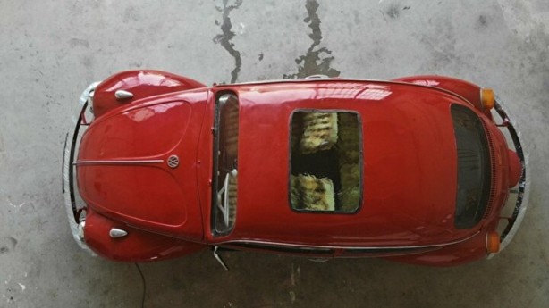 Foto - Türkiye’de tek: Vosvos Akvaryum!