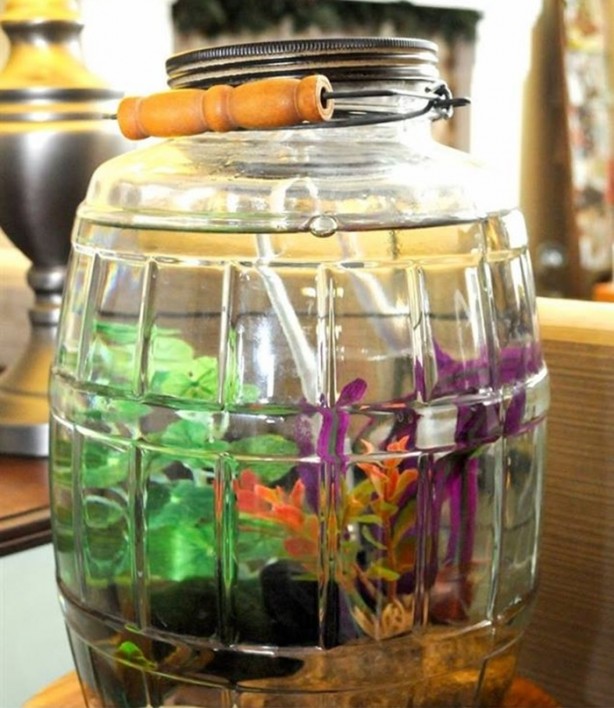 Foto - Bu akvaryumlar hayranlık uyandırıyor