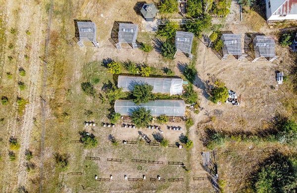 Foto - Bu alanlar verimi düşürüyor! Arıların kovanlarına dönmeme sebebi buymuş