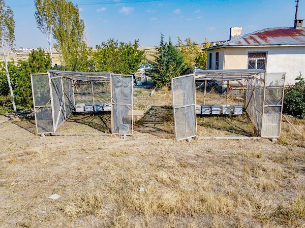 Foto - Bu alanlar verimi düşürüyor! Arıların kovanlarına dönmeme sebebi buymuş
