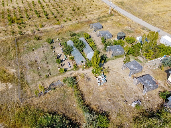 Foto - Bu alanlar verimi düşürüyor! Arıların kovanlarına dönmeme sebebi buymuş