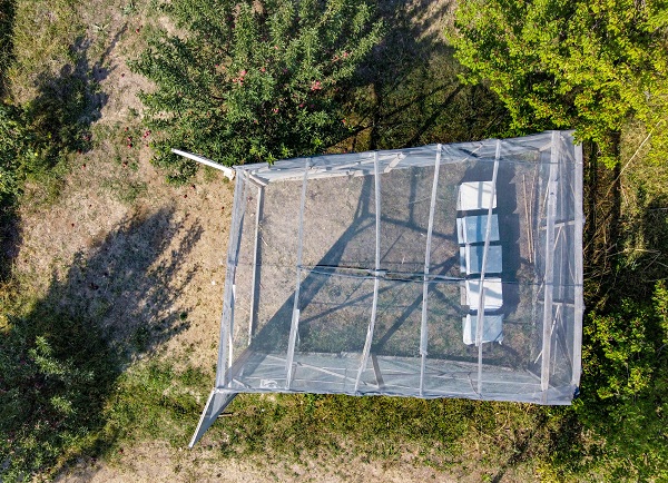 Foto - Bu alanlar verimi düşürüyor! Arıların kovanlarına dönmeme sebebi buymuş