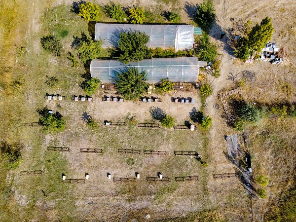 Foto - Bu alanlar verimi düşürüyor! Arıların kovanlarına dönmeme sebebi buymuş