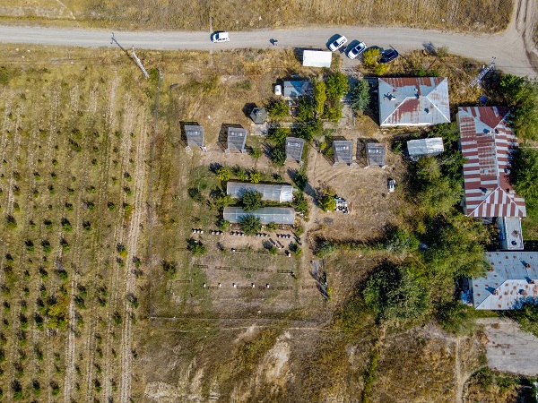 Foto - Bu alanlar verimi düşürüyor! Arıların kovanlarına dönmeme sebebi buymuş