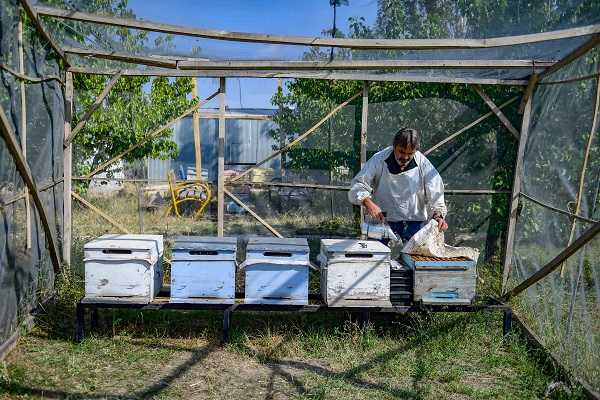 Foto - Bu alanlar verimi düşürüyor! Arıların kovanlarına dönmeme sebebi buymuş