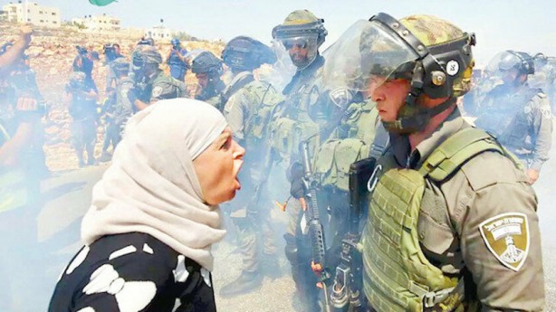 Foto - Bu alçaklığa kanmayın! Havlayan köpeklerle uğraşmayın! Boykota inadına devam