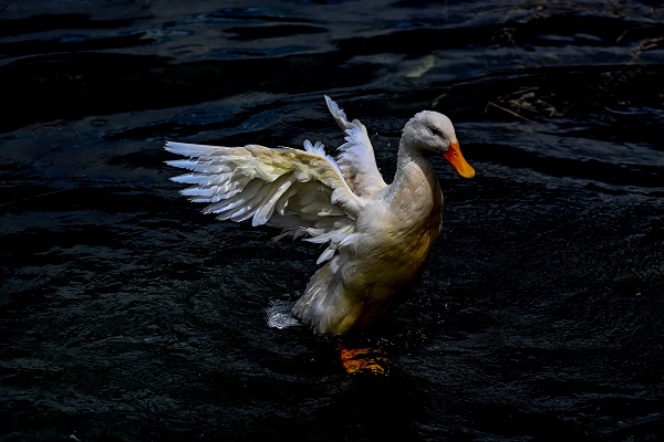 Foto - Bu anıtın tarihi 13.yüzyıla dayanıyor